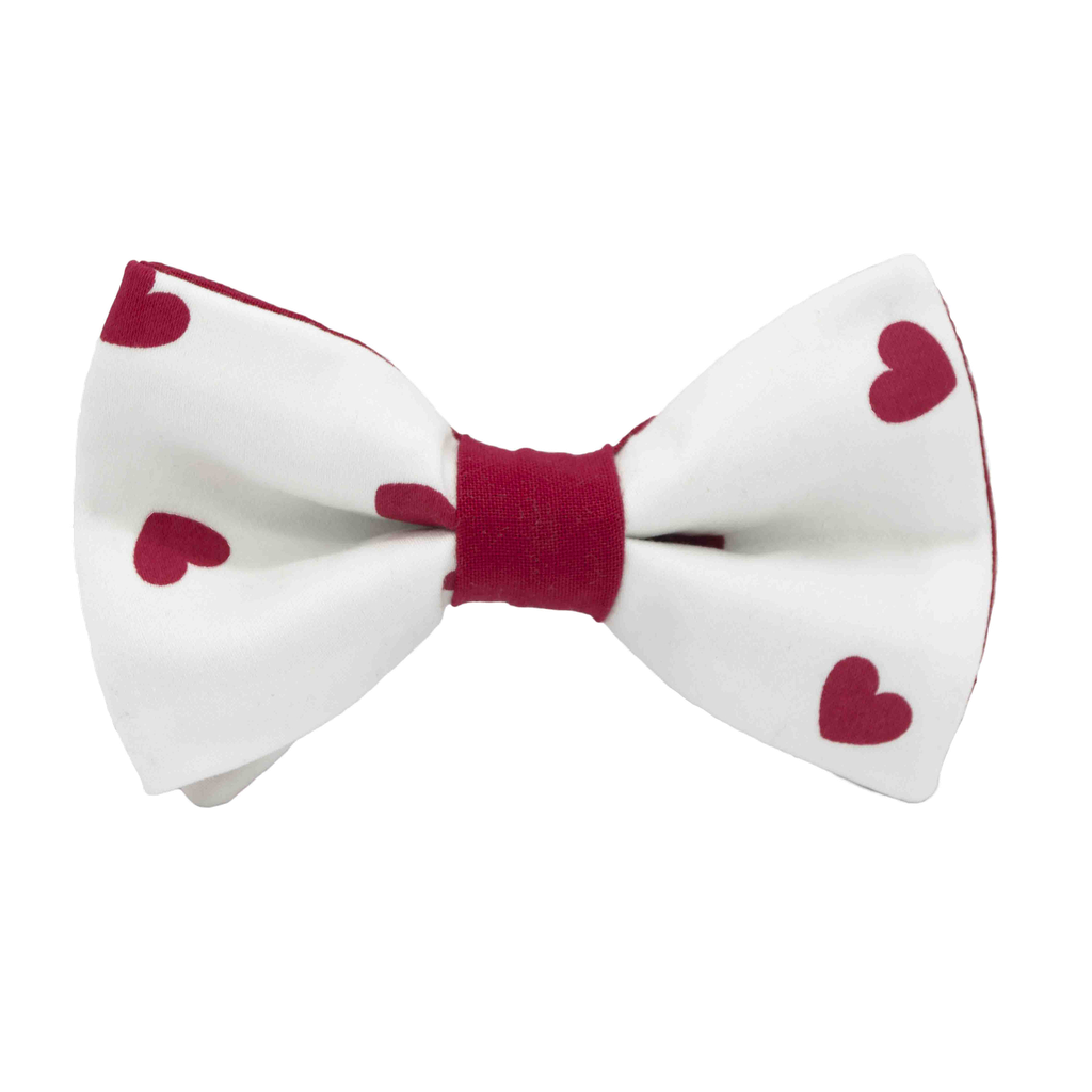 Noeud papillon "Le Romantique" coeurs rouges sur fond blanc