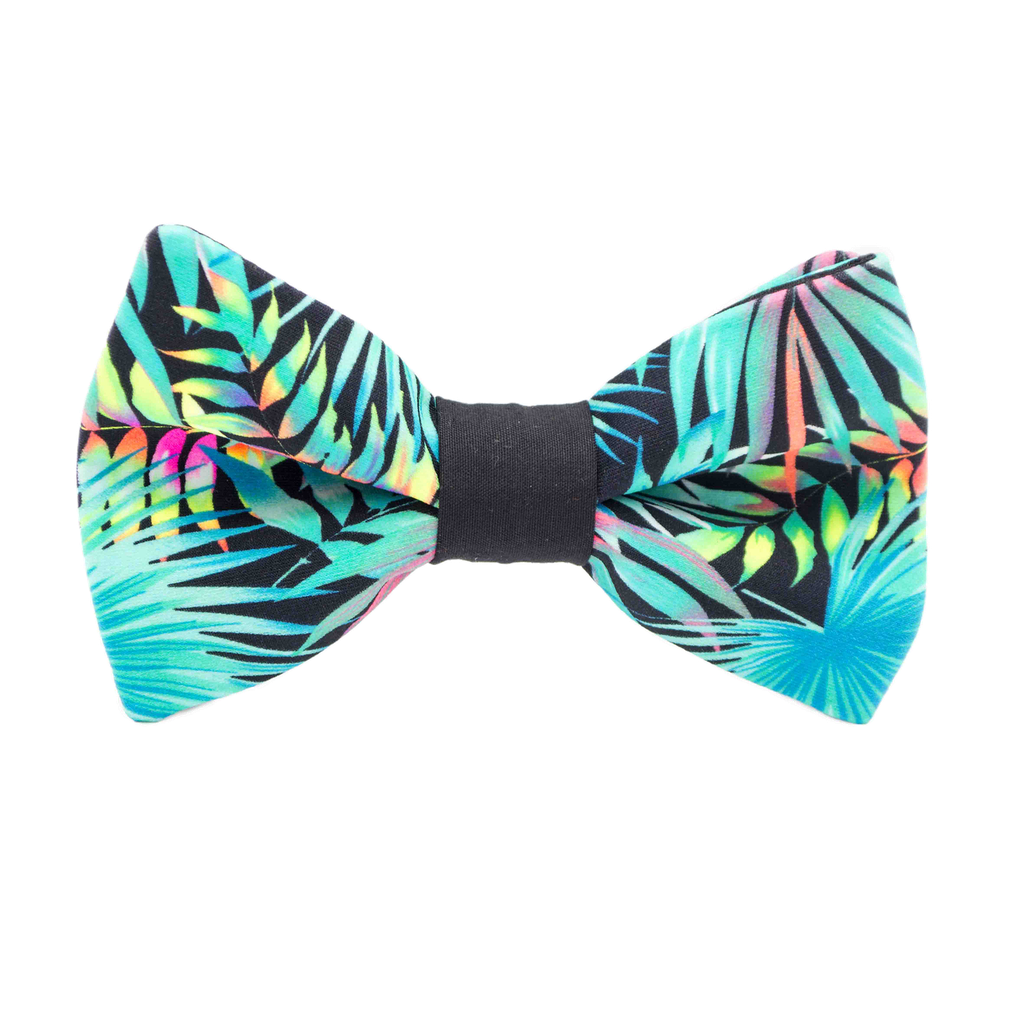 Noeud papillon "Full Moon" feuilles exotiques turquoise fluo sur fond noir
