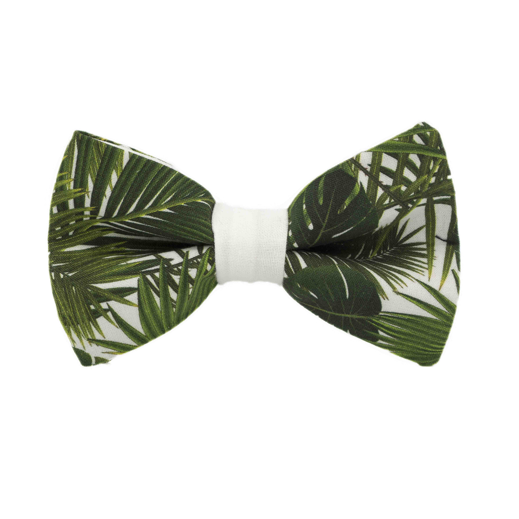 Noeud papillon "Ficus" feuilles exotiques sur fond blanc