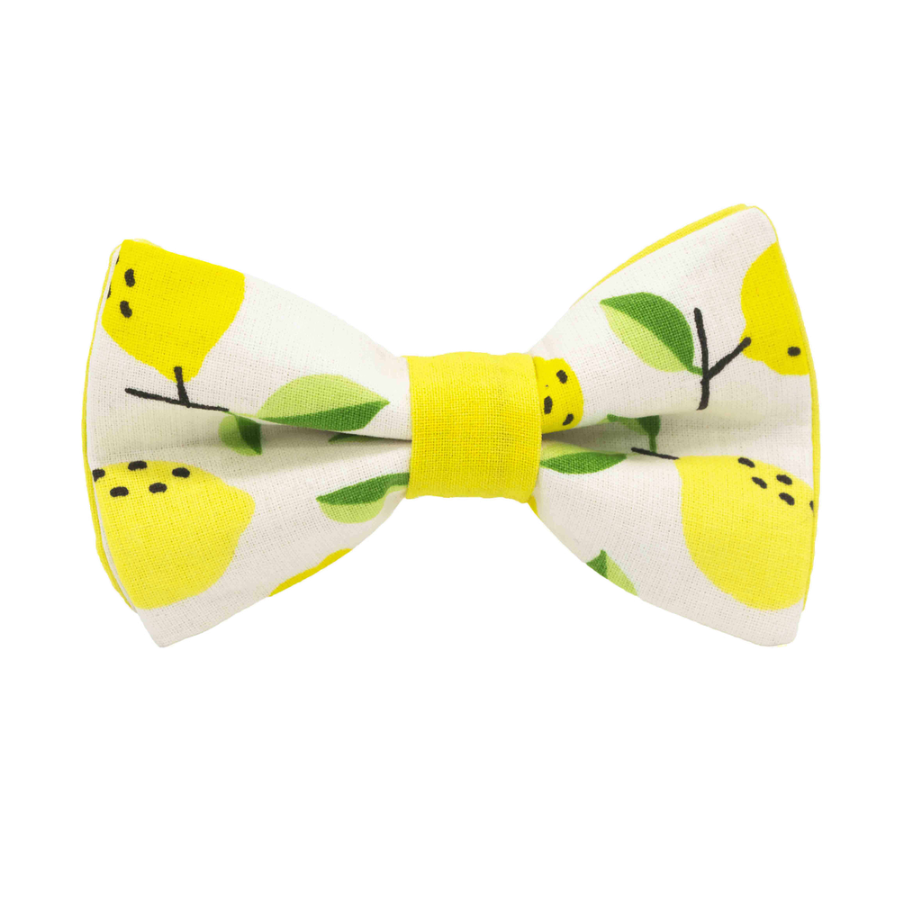Noeud papillon "Citron" citrons jaunes sur fond blanc