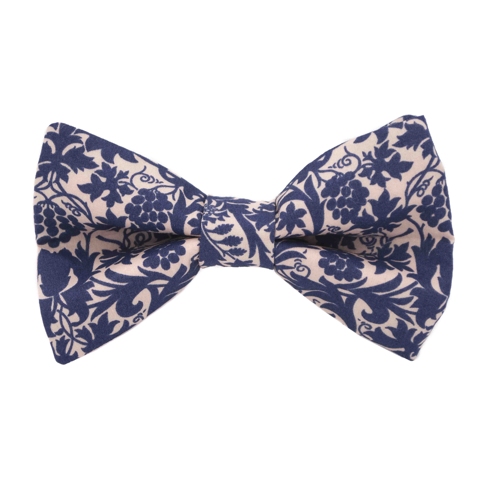 Noeud papillon Liberty "Mortimer Silhouette" bleu et rose pâle