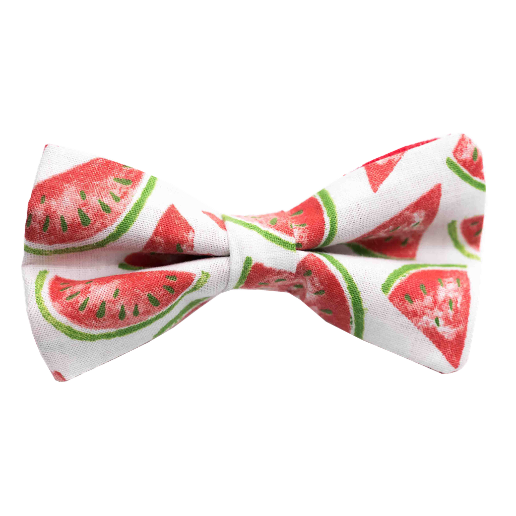 Noeud papillon "Summer Fresh" pastèque rouge
