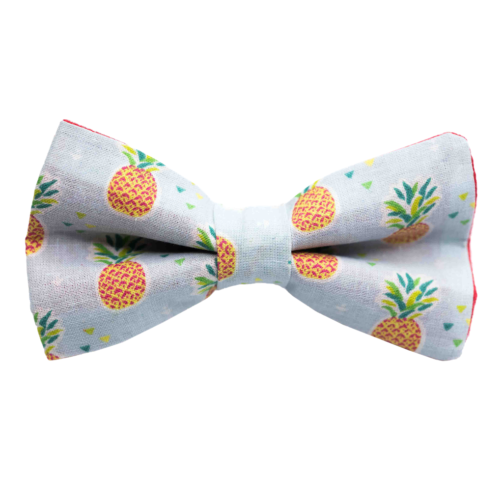 Noeud papillon "Sweet Pineapple" ananas orange sur fond bleu ciel