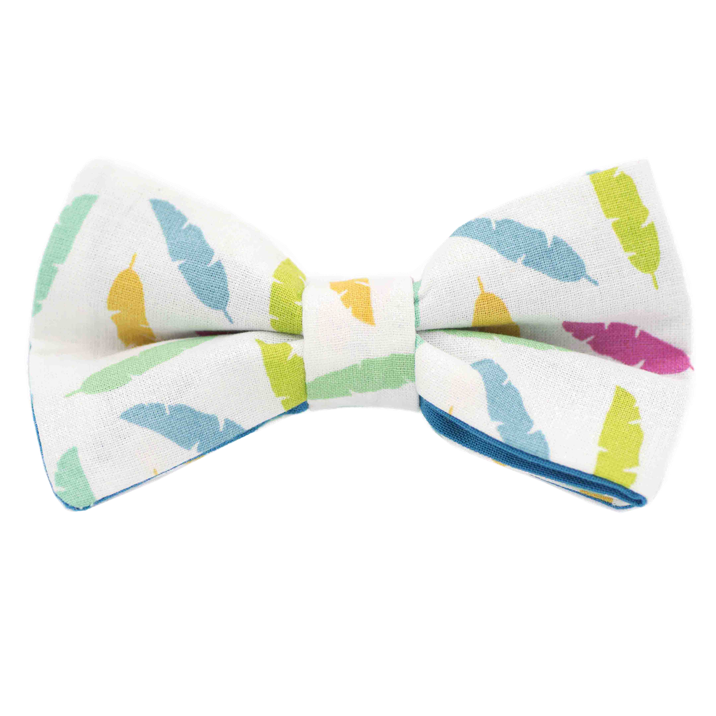 Noeud papillon "Comanche" plumes multicolores sur fond blanc