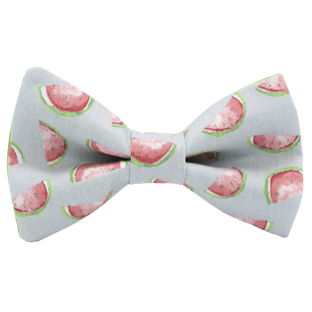 Noeud papillon "Watermelon" pastèques sur fond gris