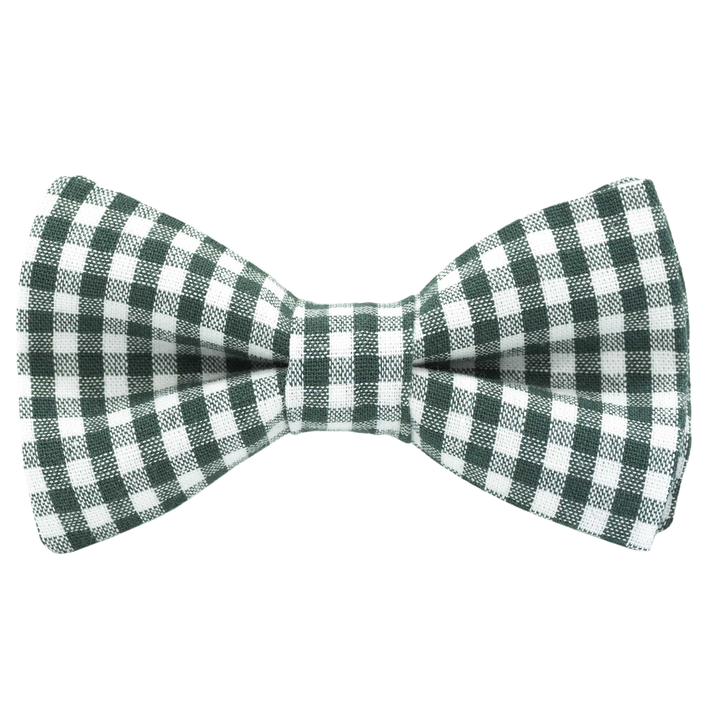 Noeud papillon "Garden Party" Vichy vert