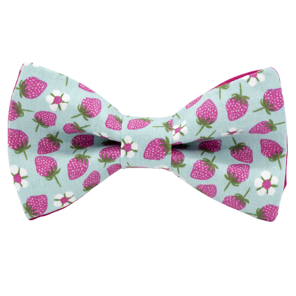 Noeud papillon "Charlotte" fraises fuchsia sur fond vert piscine