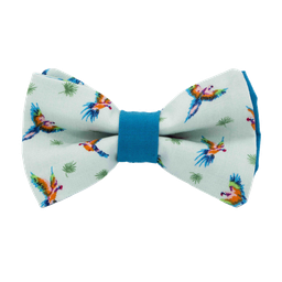Noeud papillon "Rio" perroquets multicolores sur fond bleu ciel