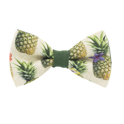 Noeud papillon "Pineapple Forever" ananas sur fond beige