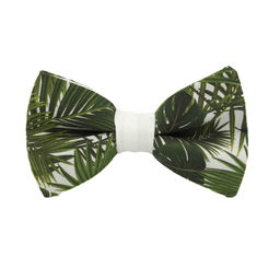Noeud papillon "Ficus" feuilles exotiques sur fond blanc