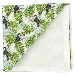 Pochette "Coucou Petit Toucan" toucans et jungle