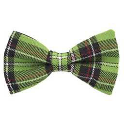 Noeud papillon Tartan vert "Peter Pan"