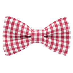 Noeud papillon "Garden Party" Vichy rouge