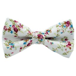 Noeud papillon "Fleur de Printemps" fleurs rouges et bleues