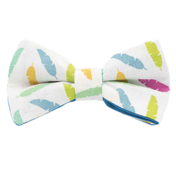 Noeud papillon "Comanche" plumes multicolores sur fond blanc