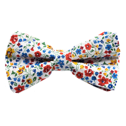 Noeud papillon Liberty "Kimberley and Sarah" multicolore