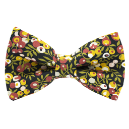 Noeud papillon Liberty "Wiltshire" septembre