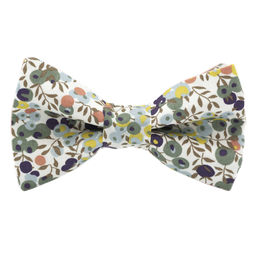 Noeud papillon Liberty "Wiltshire" automne