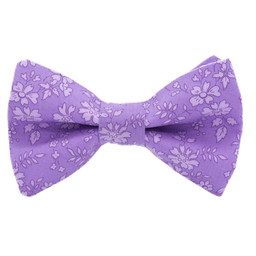 Noeud papillon Liberty "Capel" violet