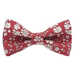 Noeud papillon Liberty "Capel" rouge rouille