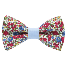 Noeud papillon Liberty "Emma and Georgina" rouge bague bleu ciel
