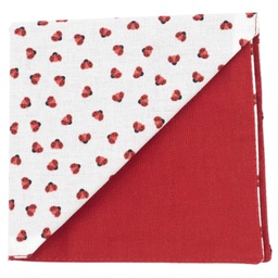 Pochette "Coccicool" petites coccinelles rouges