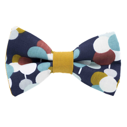 Noeud papillon "Night Light" ronds multicolores