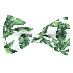 Noeud papillon "Jungle Snow" feuilles de bananier sur fond blanc