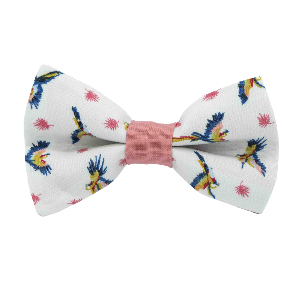 Noeud papillon "Rio" perroquets multicolores sur fond blanc