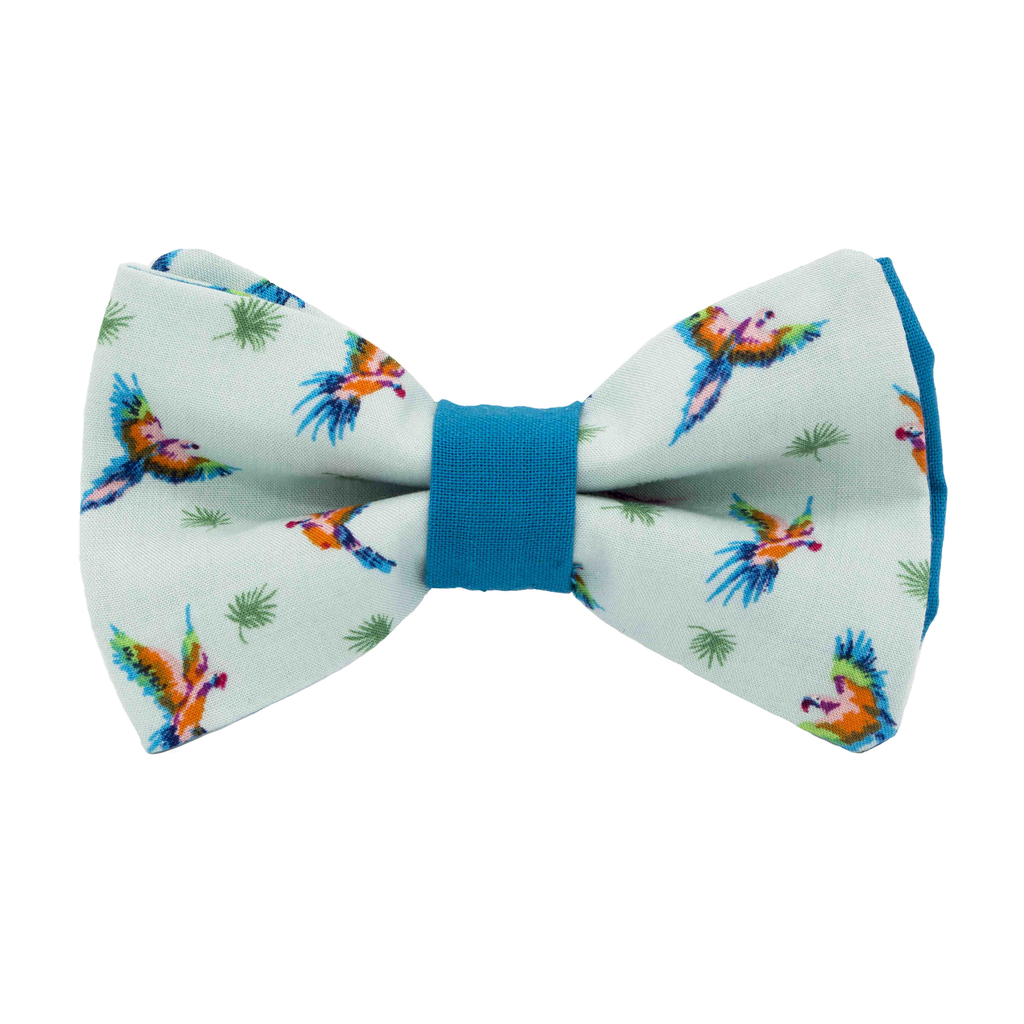 Noeud papillon "Rio" perroquets multicolores sur fond bleu ciel