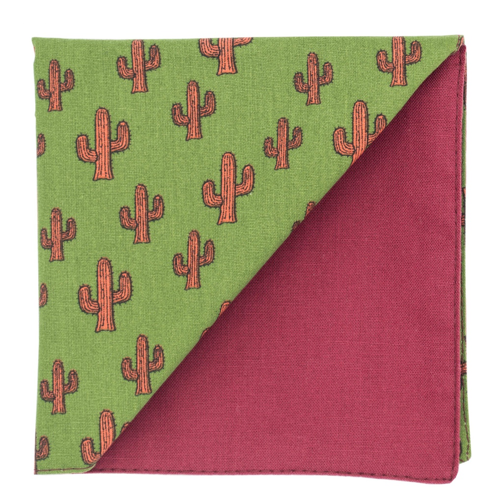 Pochette "Billy The Cactus" cactus orange sur fond vert