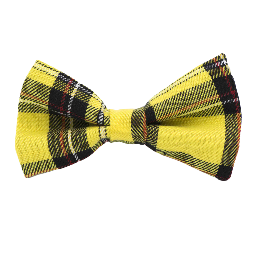 Noeud papillon Tartan jaune "Mister Bean"