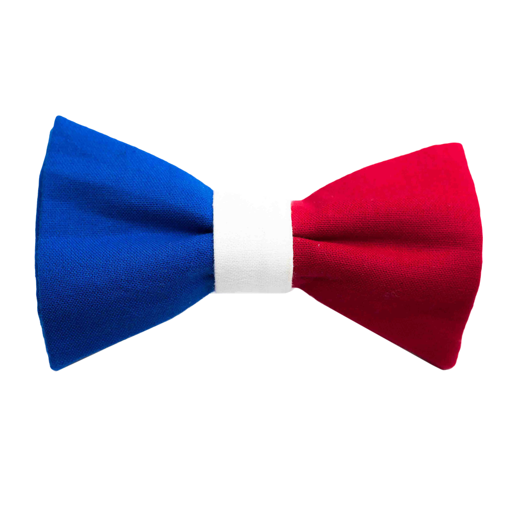 Noeud papillon "French Touch" - drapeau français