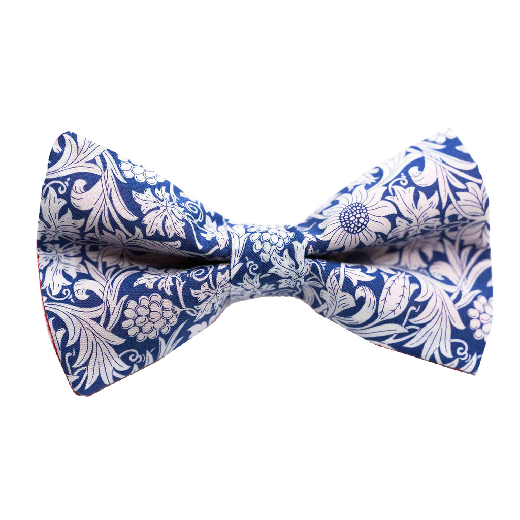 Noeud papillon Liberty "Mortimer" bleu et blanc