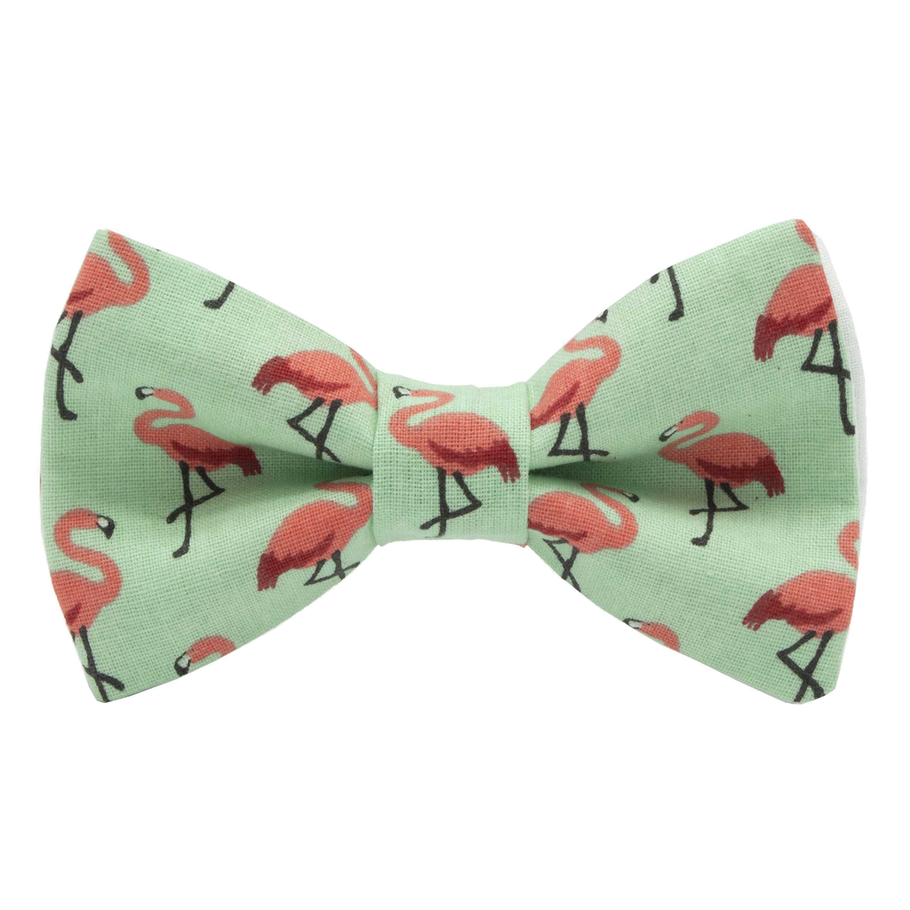 Noeud papillon "Flamingo" flamants roses sur fond vert piscine