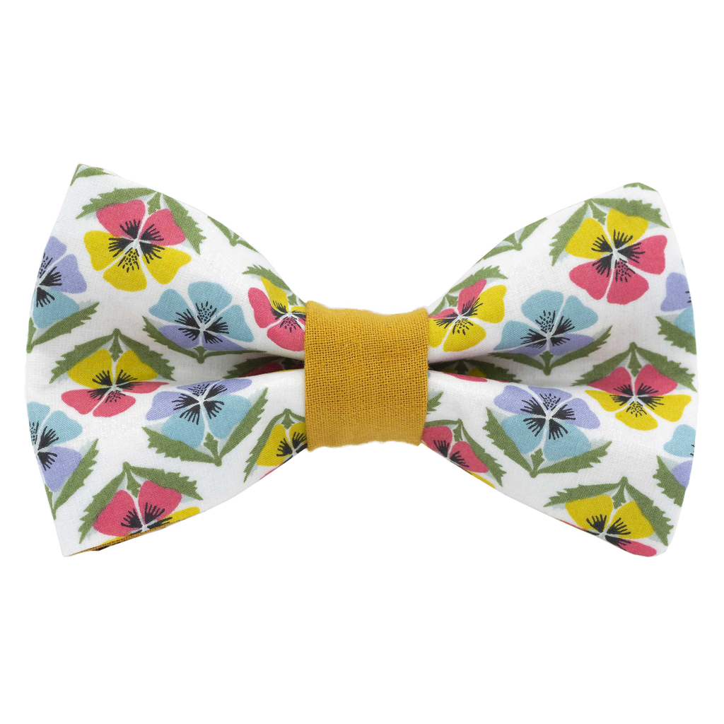 Noeud papillon Liberty "Miranda Skye" multicolore