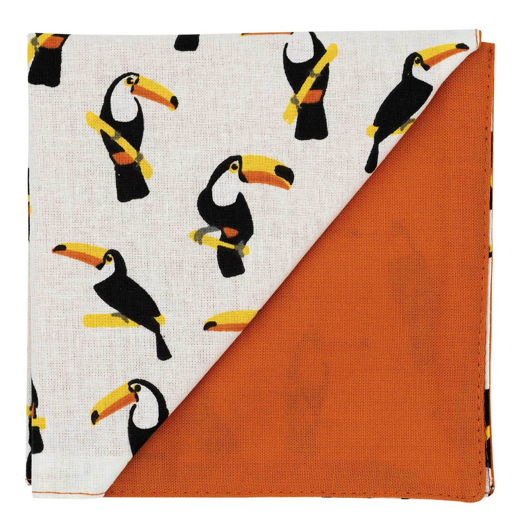 Pochette "Mister Toucans" toucans sur fond blanc
