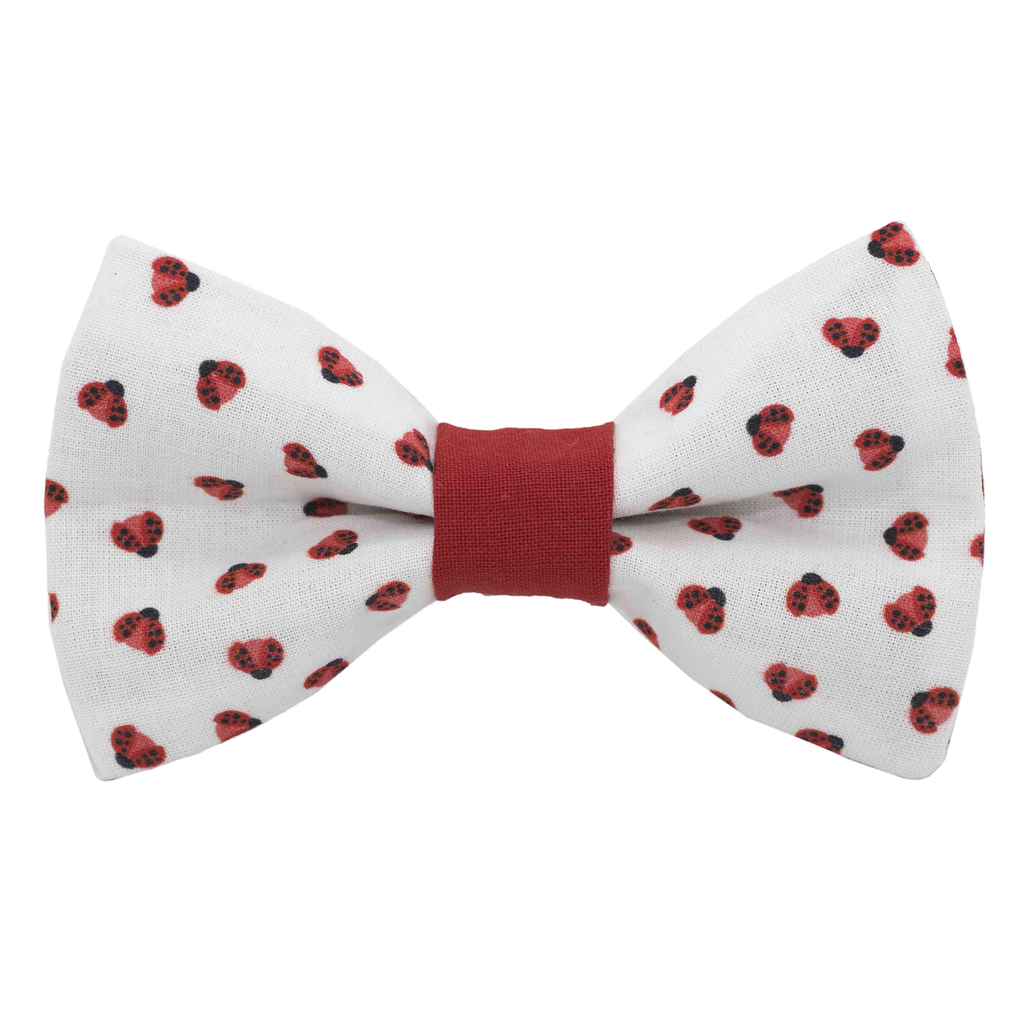 Noeud papillon "Coccicool" petites coccinelles rouges