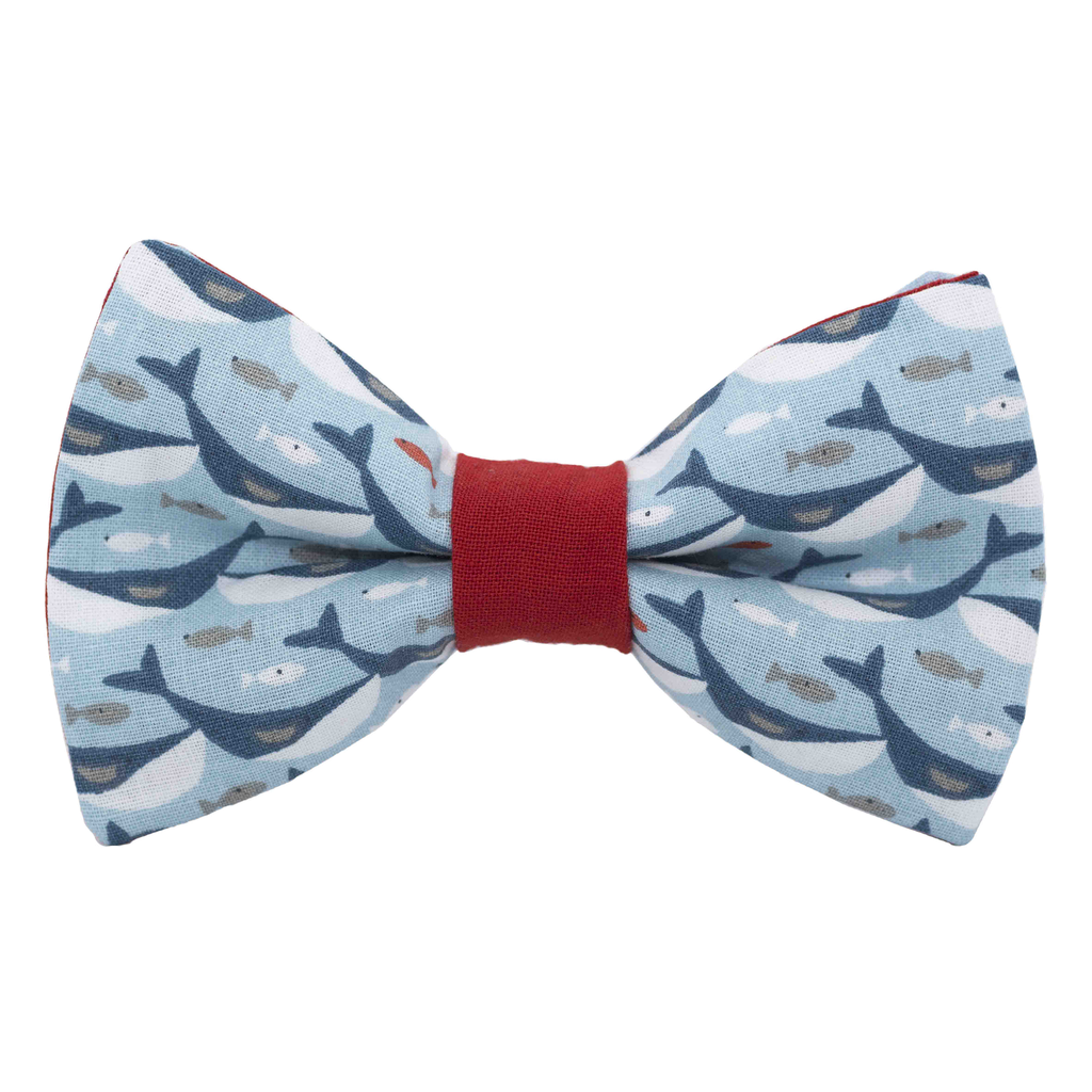 Nœud papillon "Moby Dick" - baleines et poissons sur fond bleu clair