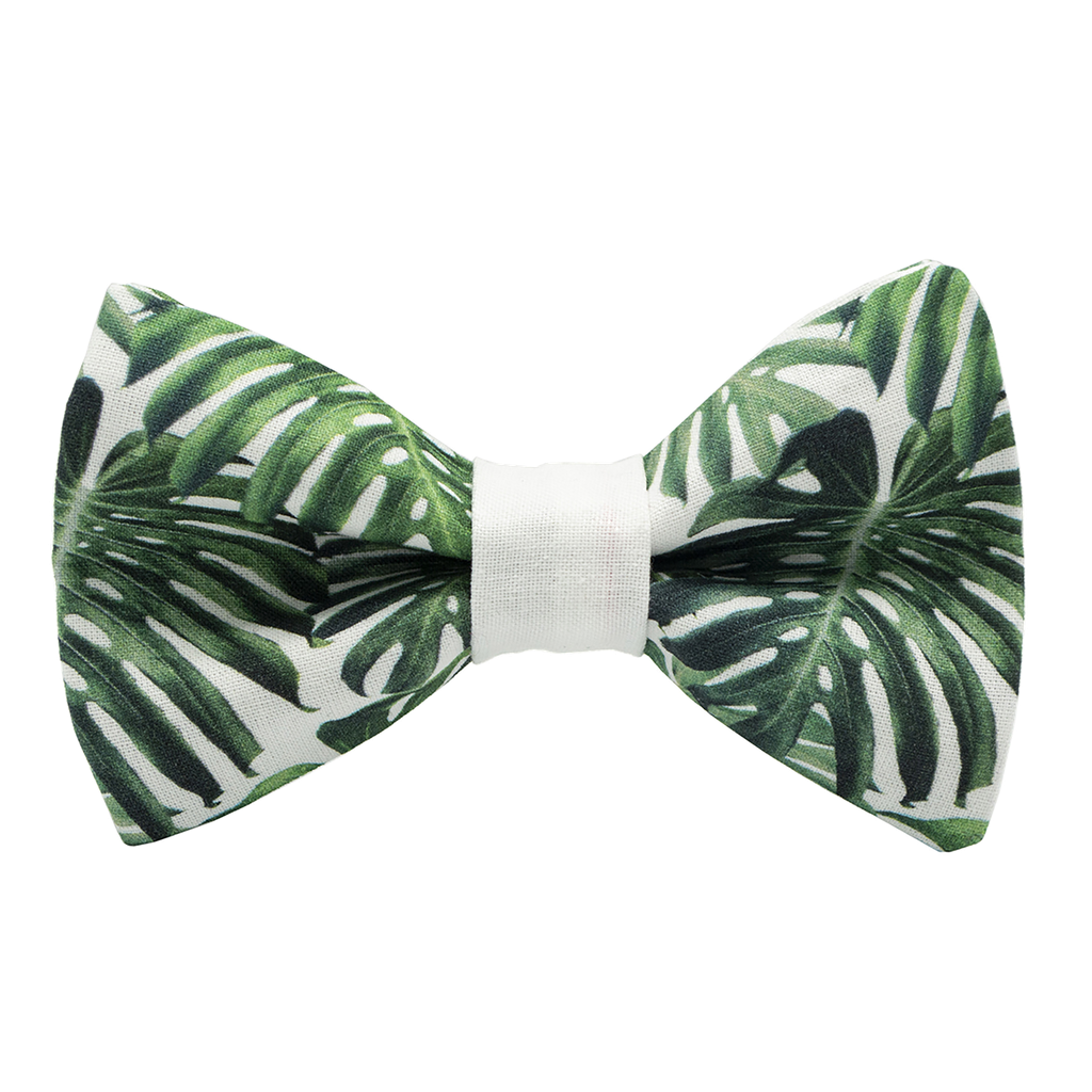 Nœud papillon "Tropical Mood" - Feuilles vert foncé sur fond blanc