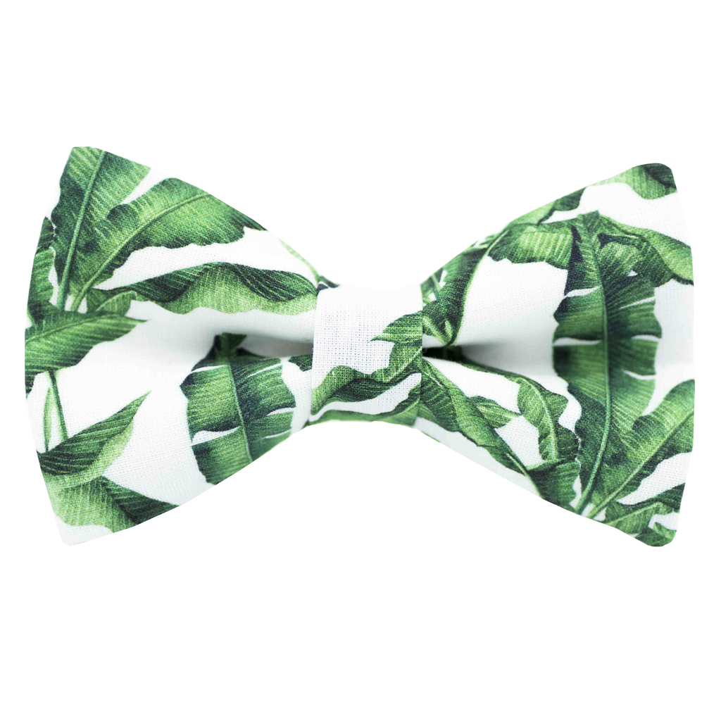 Noeud papillon "Jungle Snow" feuilles de bananier sur fond blanc