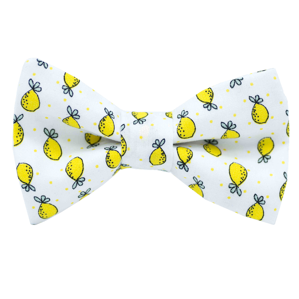 Noeud papillon "Lemon mania" citrons jaunes sur fond blanc