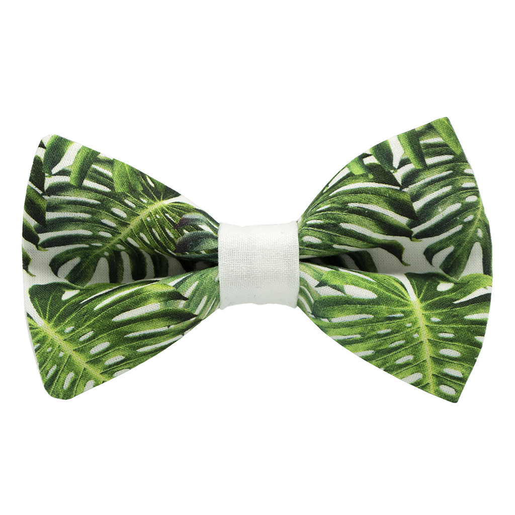 Noeud papillon "Tropical Mood" feuilles vertes sur fond blanc