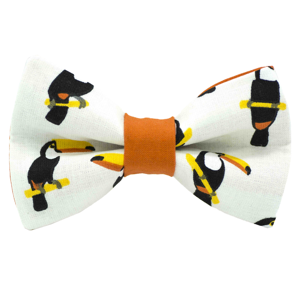 Noeud papillon "Mister Toucan" toucans sur fond blanc