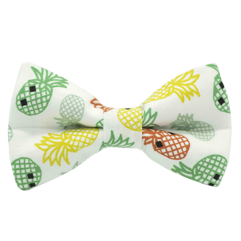 Noeud papillon "Graphic Pineapple" ananas colorés sur fond blanc