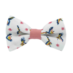 Noeud papillon "Rio" perroquets multicolores sur fond blanc