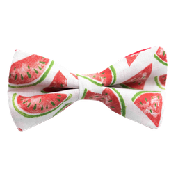 Noeud papillon "Summer Fresh" pastèque rouge
