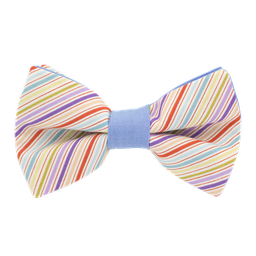 Noeud papillon "Candy Cane" rayures multicolores
