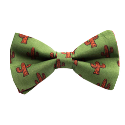 Noeud papillon "Billy the Cactus" cactus orange sur fond vert