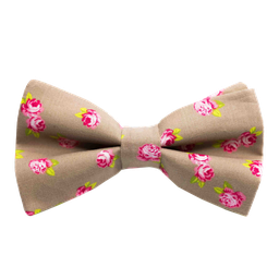 Noeud papillon "Rose Bohême" fleurs roses sur fond beige